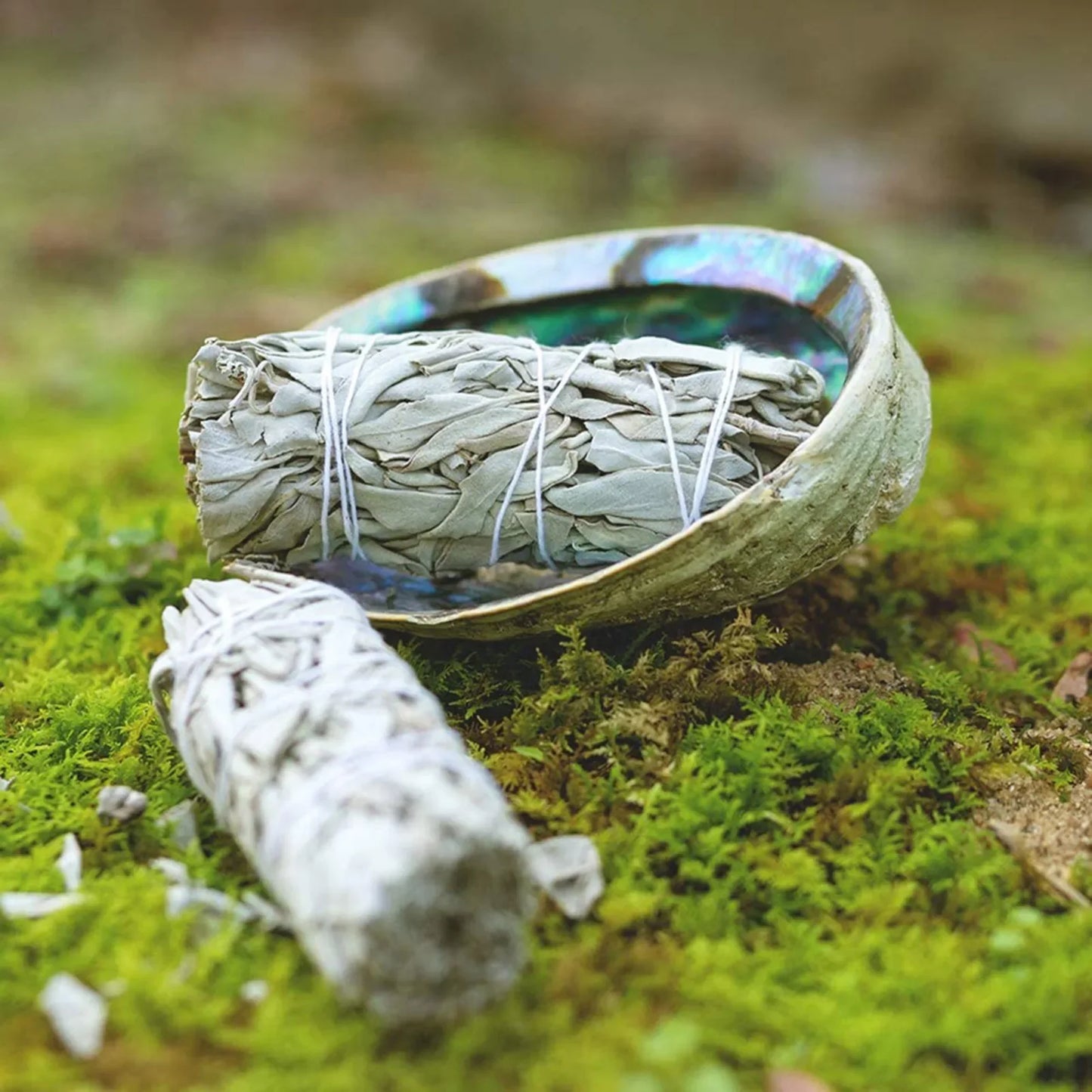 White Sage Energy Clearing Smudge Bundle | Aromatherapy | Aura Cleansing